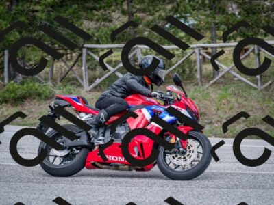 202604191551-DSC_4080_c2