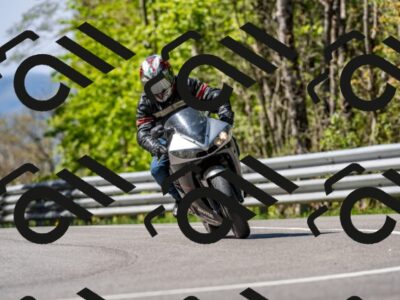 202604251005-DSC_8888_d2_