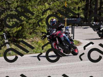 202604251343-_04A6750_c3