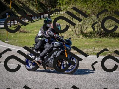 202604261431-DSC_5457_c2