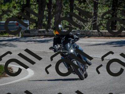 202604261300-DSC_1566_C4_