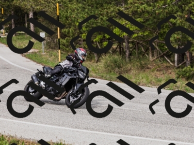 202605091622-_04A1624_c3