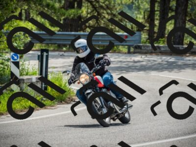 202605231104-DSC02747_c1_