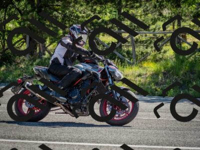 202605311008-DSC_4064_c2