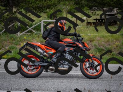 202606061511-DSC_7976_c2