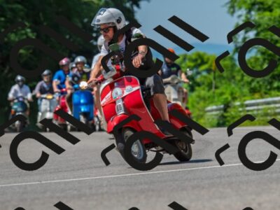 202606211133-DSC_1103_d2_