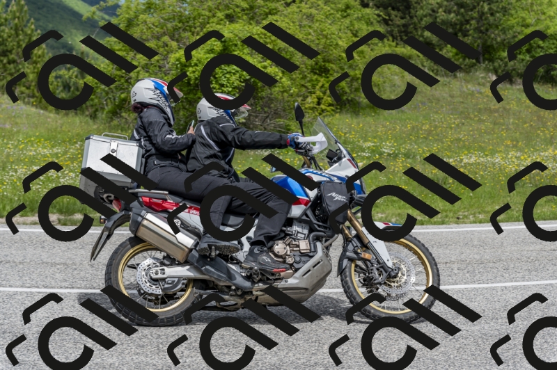 26052024-Z62_4951