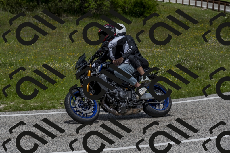 26052024-Z62_5879