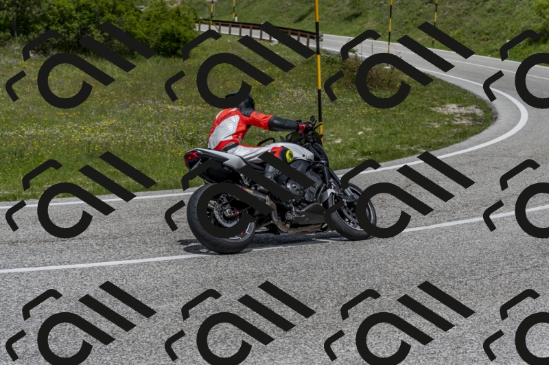 26052024-Z62_5897