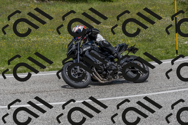 26052024-Z62_5907
