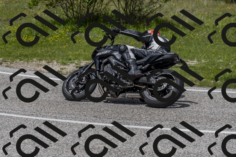 26052024-Z62_5909