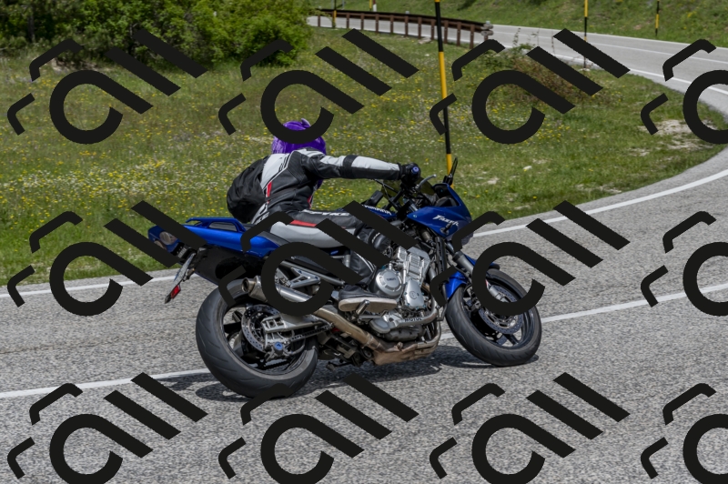 26052024-Z62_5992