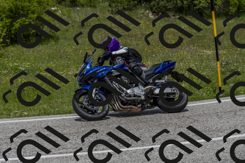 26052024-Z62_6027