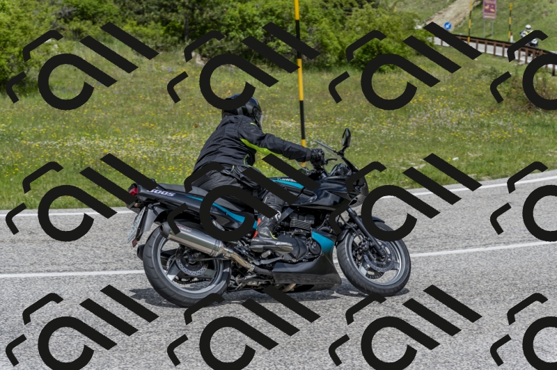 26052024-Z62_6040