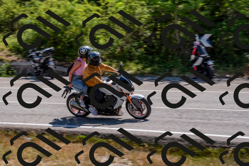 21072024-Z62_8828