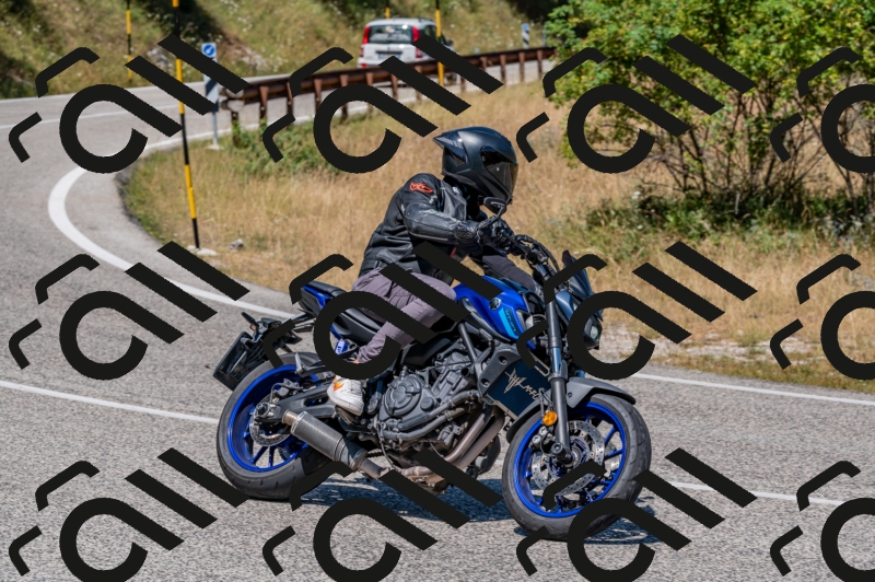 21072024-Z62_9795