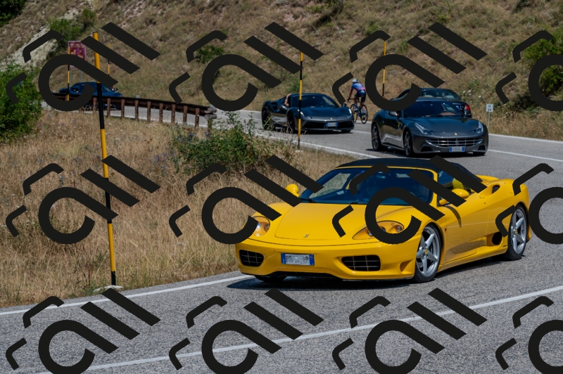 28072024-Z62_3758