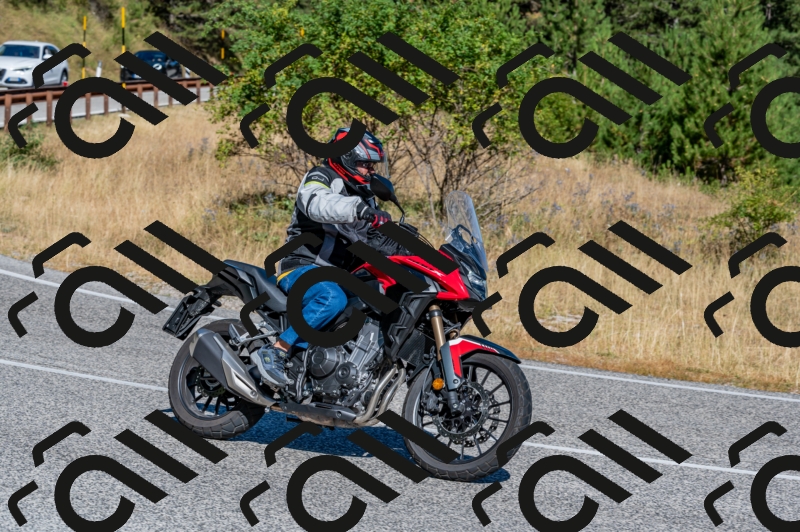 11082024-Z62_8719