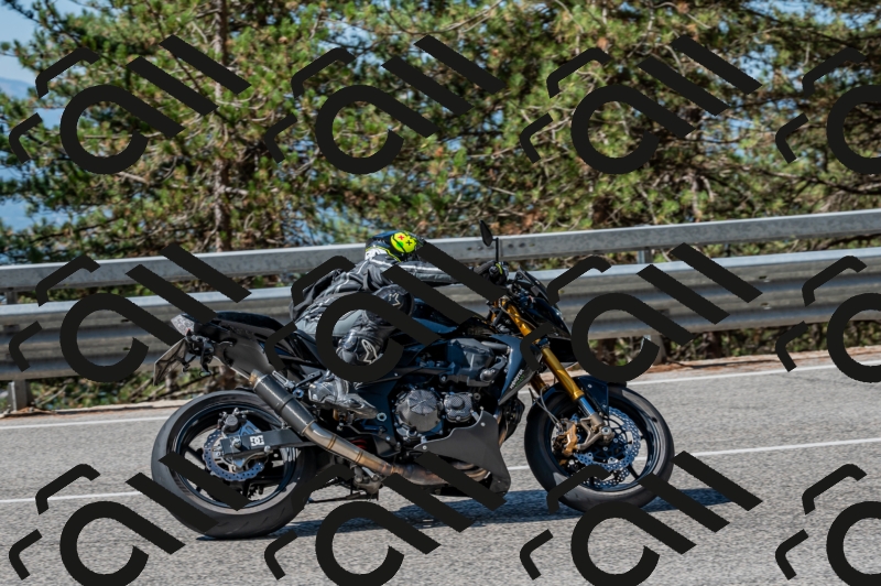25082024-Z62_3116