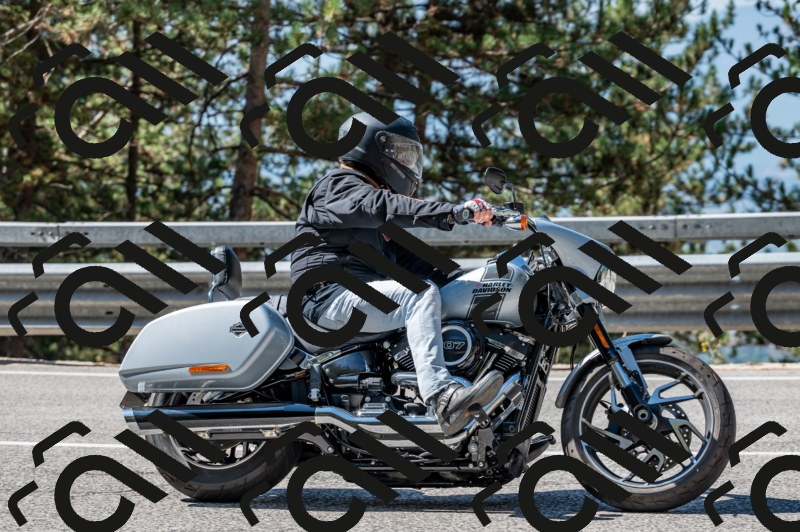 25082024-Z62_3324