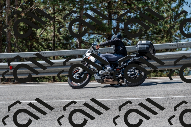 25082024-Z62_3638