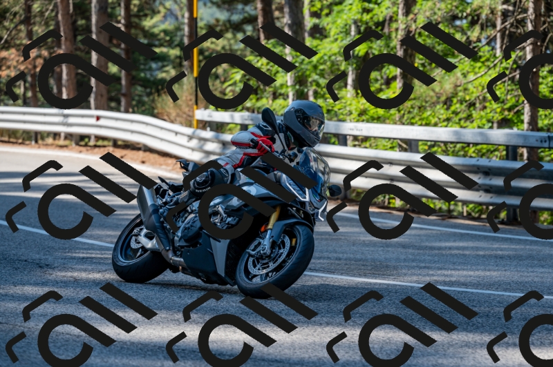 25082024-Z62_2480