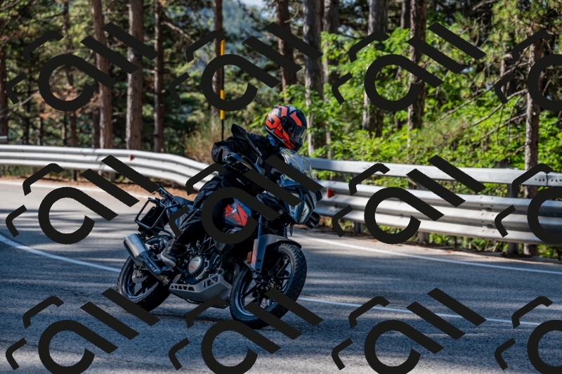 25082024-Z62_2519