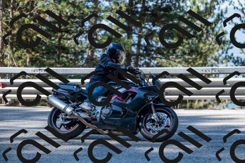25082024-Z62_2561