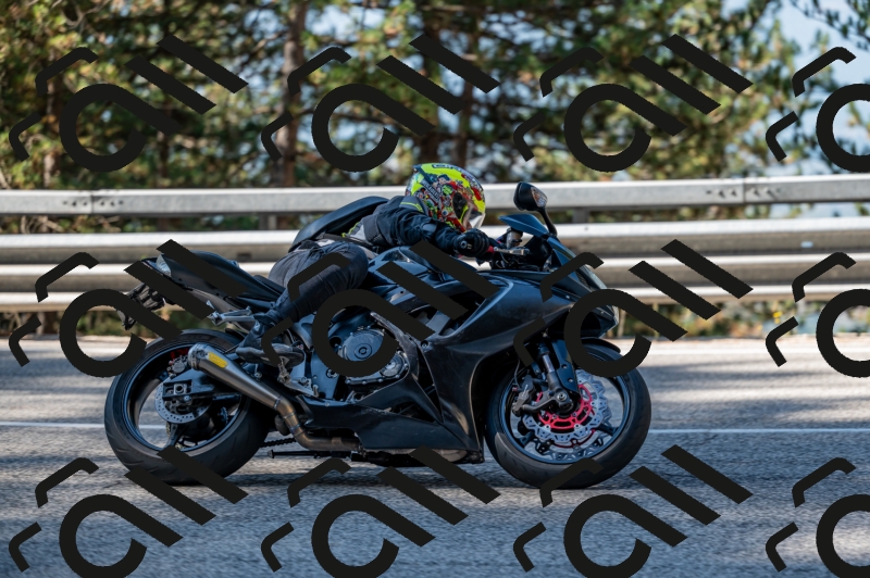 25082024-Z62_2586