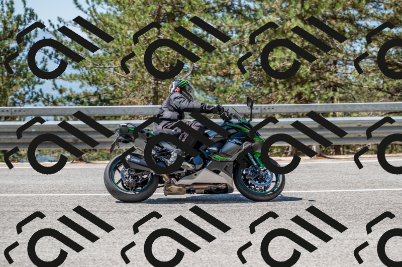 25082024-Z62_4015