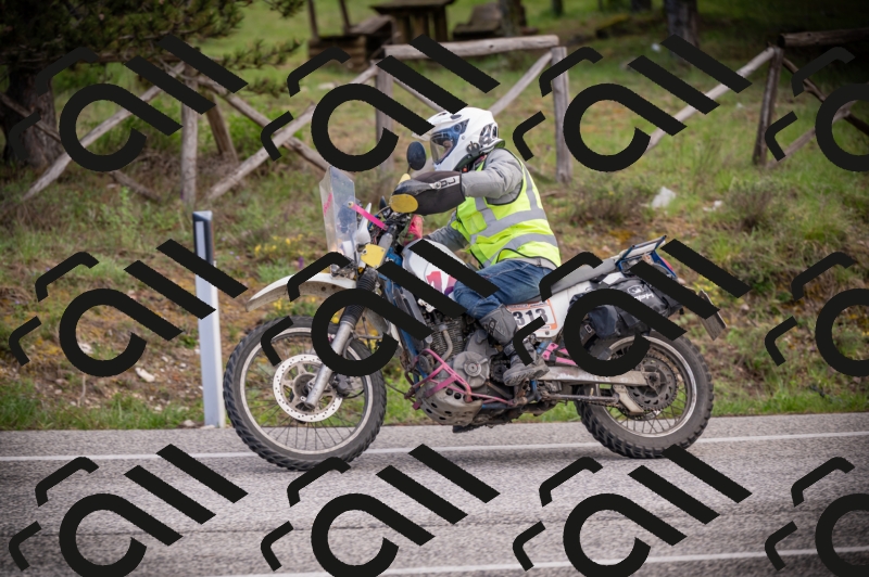 26042025-Z62_7726