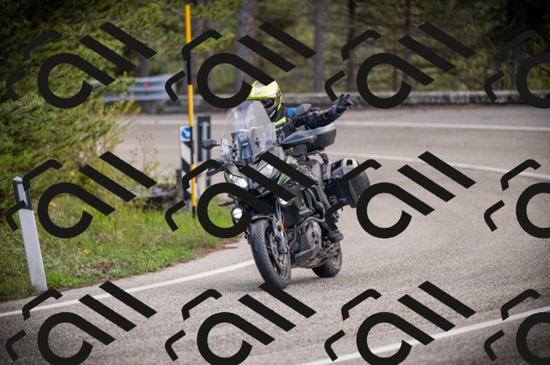 26042025-Z62_7736