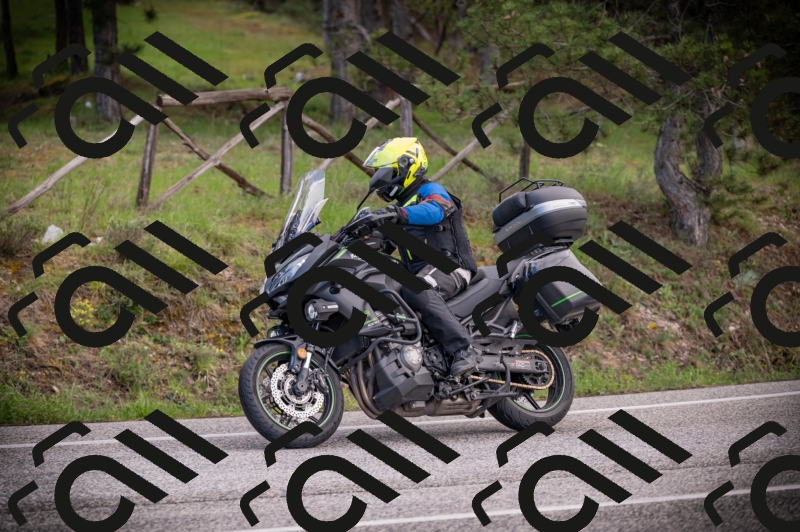 26042025-Z62_7738