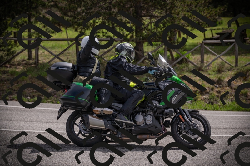 26042025-Z62_7807