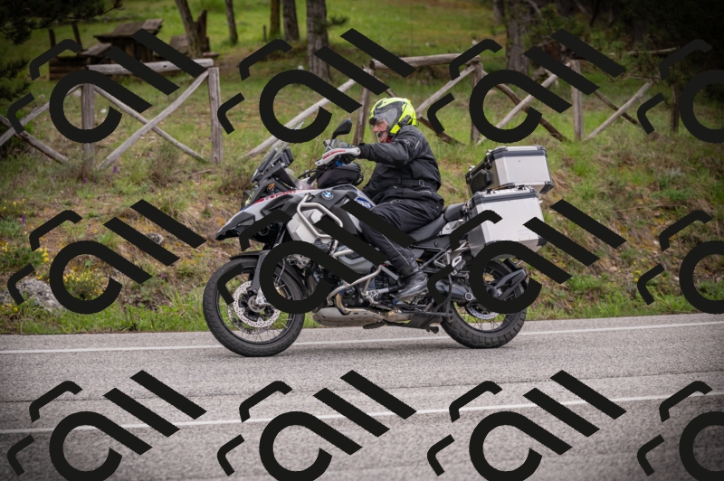 26042025-Z62_7828