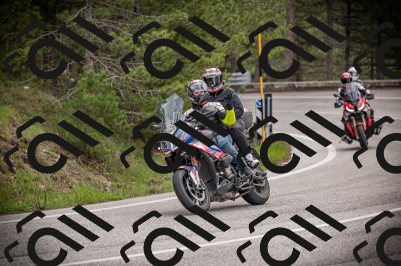 26042025-Z62_7884