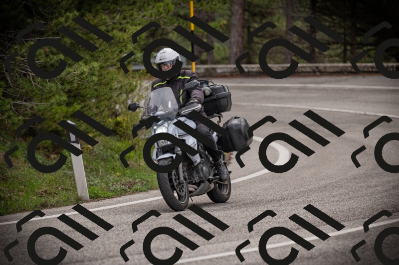 26042025-Z62_7895