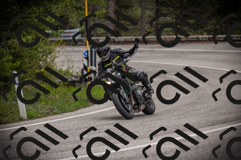 26042025-Z62_7908