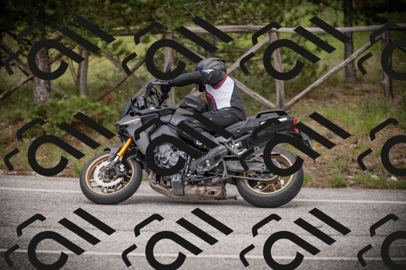 26042025-Z62_7998