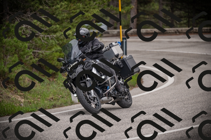 26042025-Z62_8178