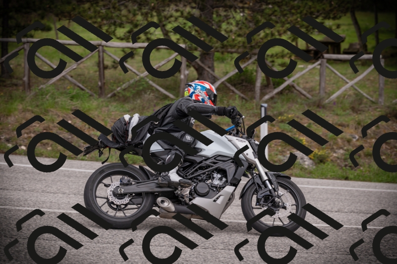 26042025-Z62_8201