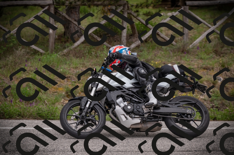 26042025-Z62_8208