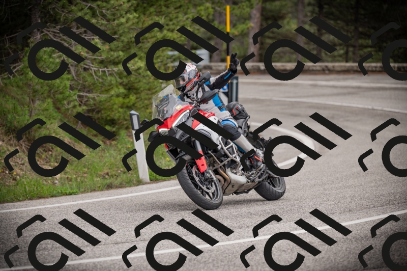 26042025-Z62_8258