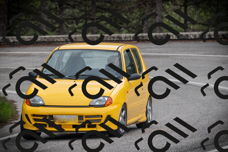 26042025-Z62_8279