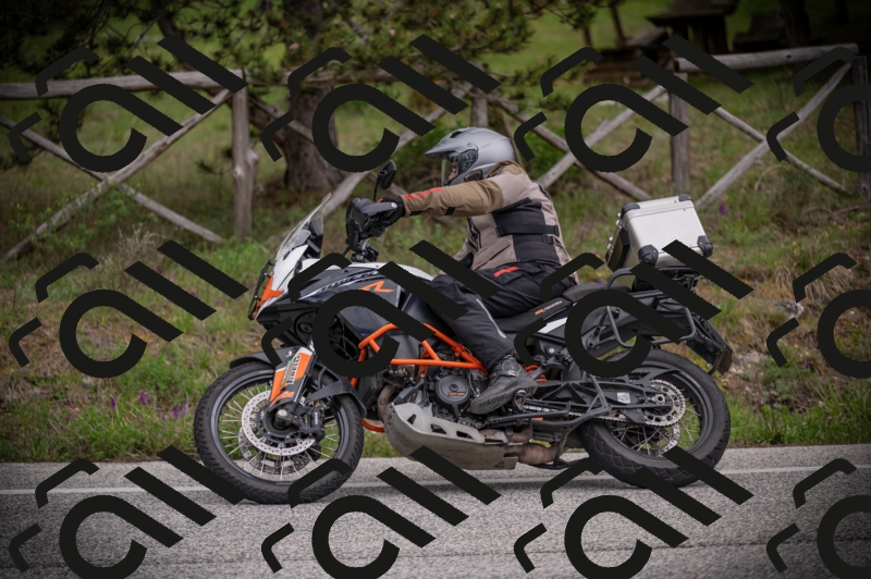 26042025-Z62_8300