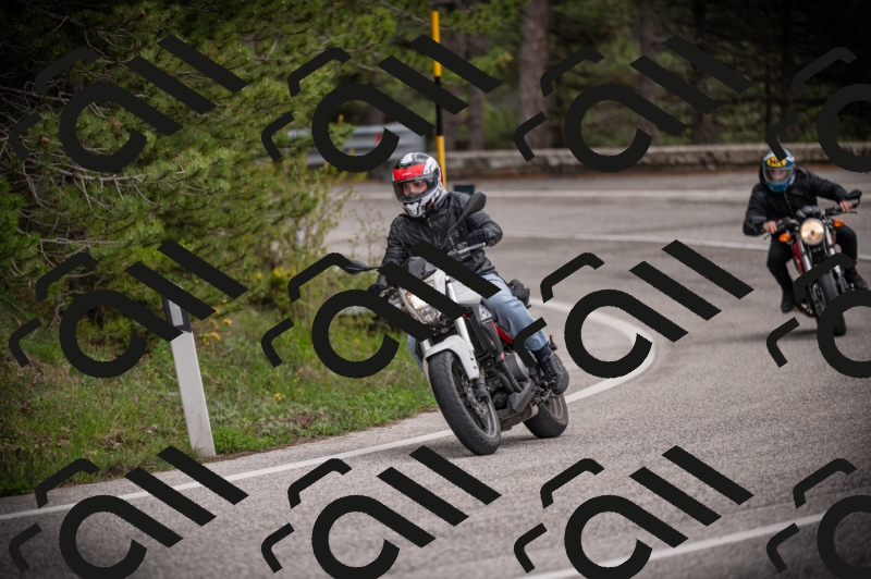 26042025-Z62_8328