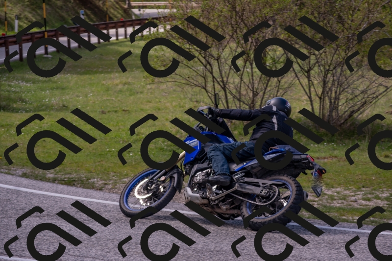 26042025-DSC_3731