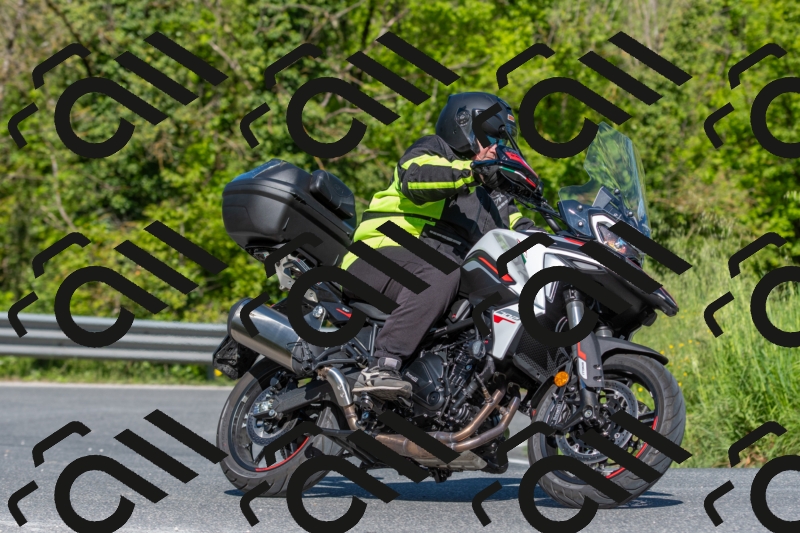 SMN6019