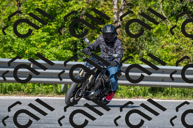 SMN6229