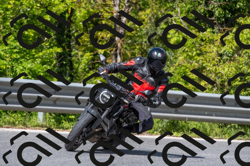 SMN7045